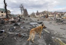 Bucha. Cel mai crunt masacru comis pe continentul european în secolul 21. Supraviețuitorii vorbesc acum despre furtul, raziile, tortura și execuții sumare