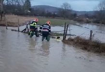 Curţi inundate şi copaci căzuţi din cauza ploilor abundente şi a vântului puternic, în județul Dâmbovița