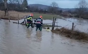 Curţi inundate şi copaci căzuţi din cauza ploilor abundente şi a vântului puternic, în județul Dâmbovița
