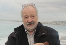 Stelian Tanase : CIOLACU – NORDIS . O AFACERE MURDARĂ