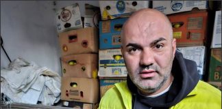 De ce sunt mai bune merele româneşti decât cele de import