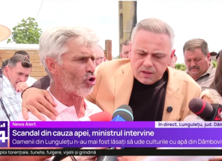 „Apa e de la Dumnezeu!” Soluțiile autorităților după ce agricultorii de la Lungulețu au irigat din râu. Poliția infirmă încătușarea unui fermier