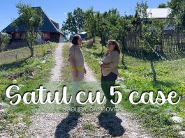 Satul cu 5 case. Și-a vândut afacerea din București ca să ridice un mini sat turistic în Dâmbovița
