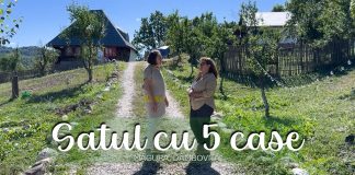 Satul cu 5 case. Și-a vândut afacerea din București ca să ridice un mini sat turistic în Dâmbovița