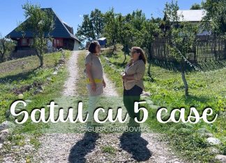 Satul cu 5 case. Și-a vândut afacerea din București ca să ridice un mini sat turistic în Dâmbovița