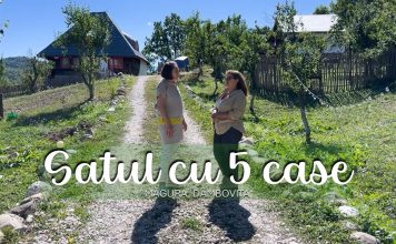 Satul cu 5 case. Și-a vândut afacerea din București ca să ridice un mini sat turistic în Dâmbovița