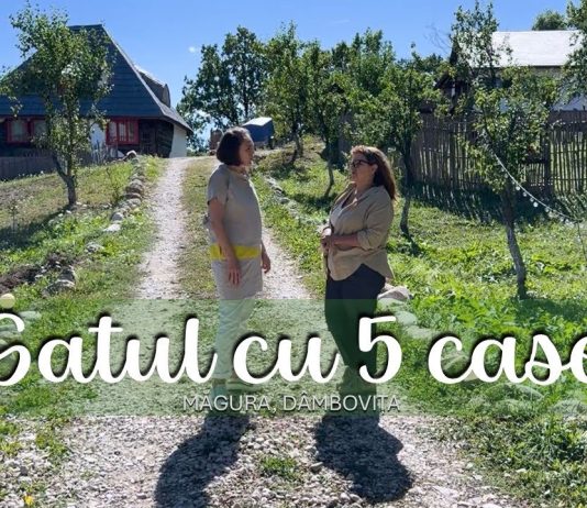 Satul cu 5 case. Și-a vândut afacerea din București ca să ridice un mini sat turistic în Dâmbovița