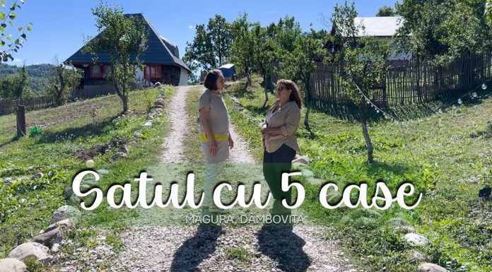 Satul cu 5 case. Și-a vândut afacerea din București ca să ridice un mini sat turistic în Dâmbovița