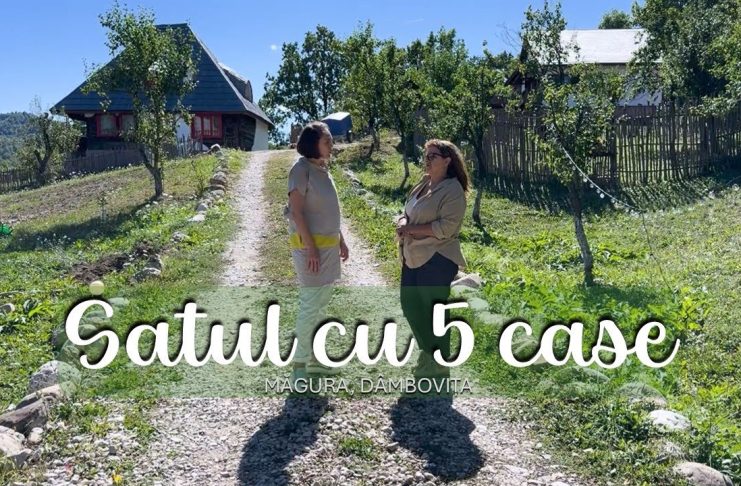 Satul cu 5 case. Și-a vândut afacerea din București ca să ridice un mini sat turistic în Dâmbovița