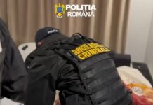Percheziţii în judeţele Dâmboviţa şi Ilfov, într-un dosar de proxenetism, şantaj și cămătărie | VIDEO